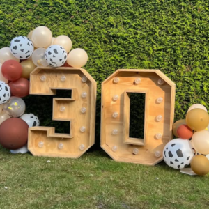 Lichtletters/cijfers